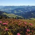 Horlerstiegel (1.475m)