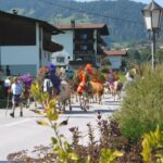 Almabtrieb im September