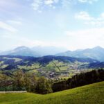 Lanerköpfel Abfahrt im Sommer, Niederau